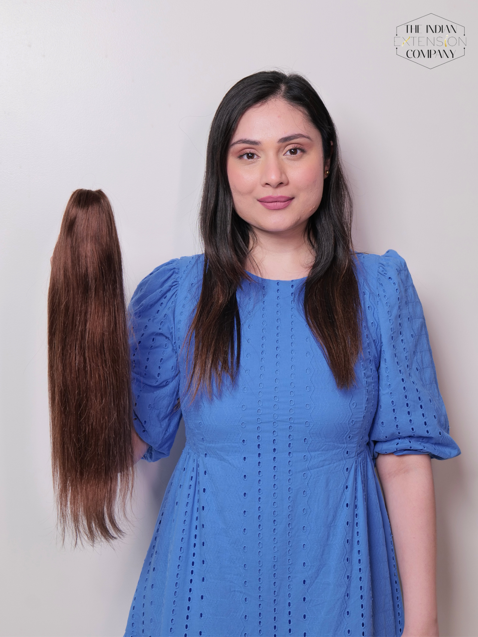 Claw Ponytail ( Brown)