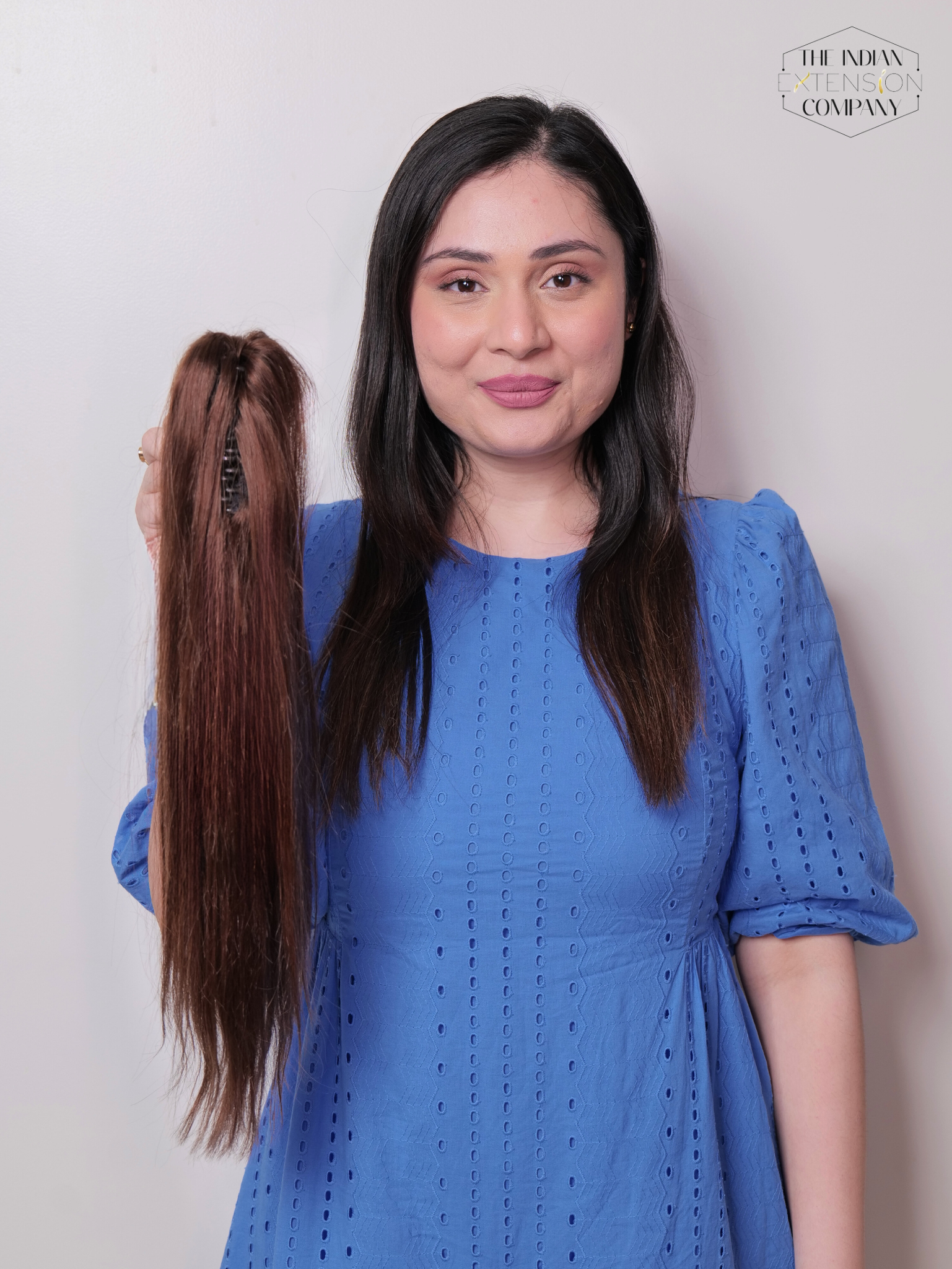 Claw Ponytail ( Brown)