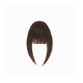 Fringes with Side Bangs (Dark Brown)